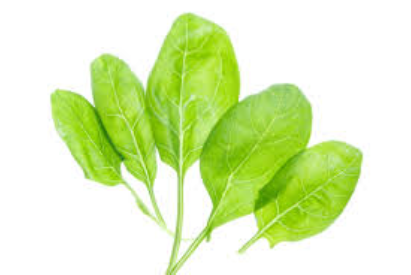AAA BABY SPINACH 250G